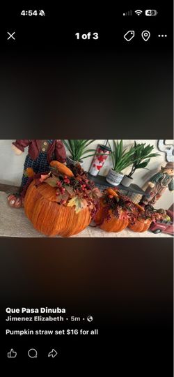 Set of pumpkins 🎃