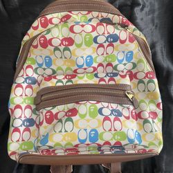 Bape Coach bag