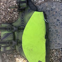 Arcadia trial dog swimwear