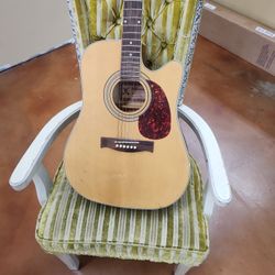 Harmonia Electric  Acoustic Guitar 