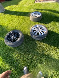 G37 stocks