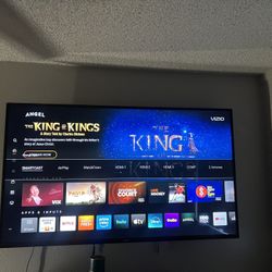 65in Vizio Tv