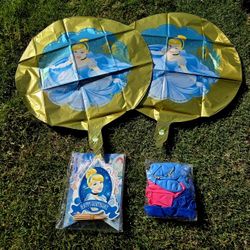 Disney Princess Birthday Package!