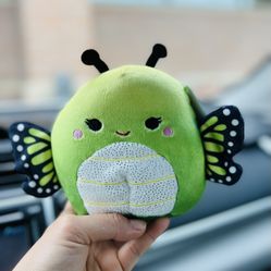 butterfly squishmallow 5”
