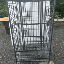 Bird Cage