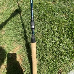 Shimano Fishing Pole