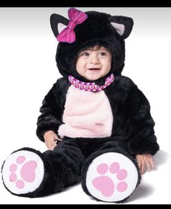 Baby Black Kitten 12-18