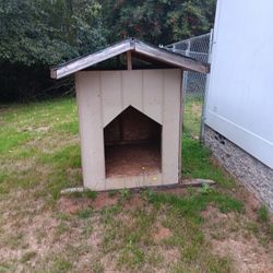 Dog House