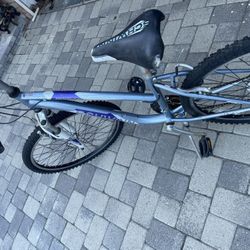 2 Schwinn Mountain Bikes for Sale in Los Angeles CA OfferUp