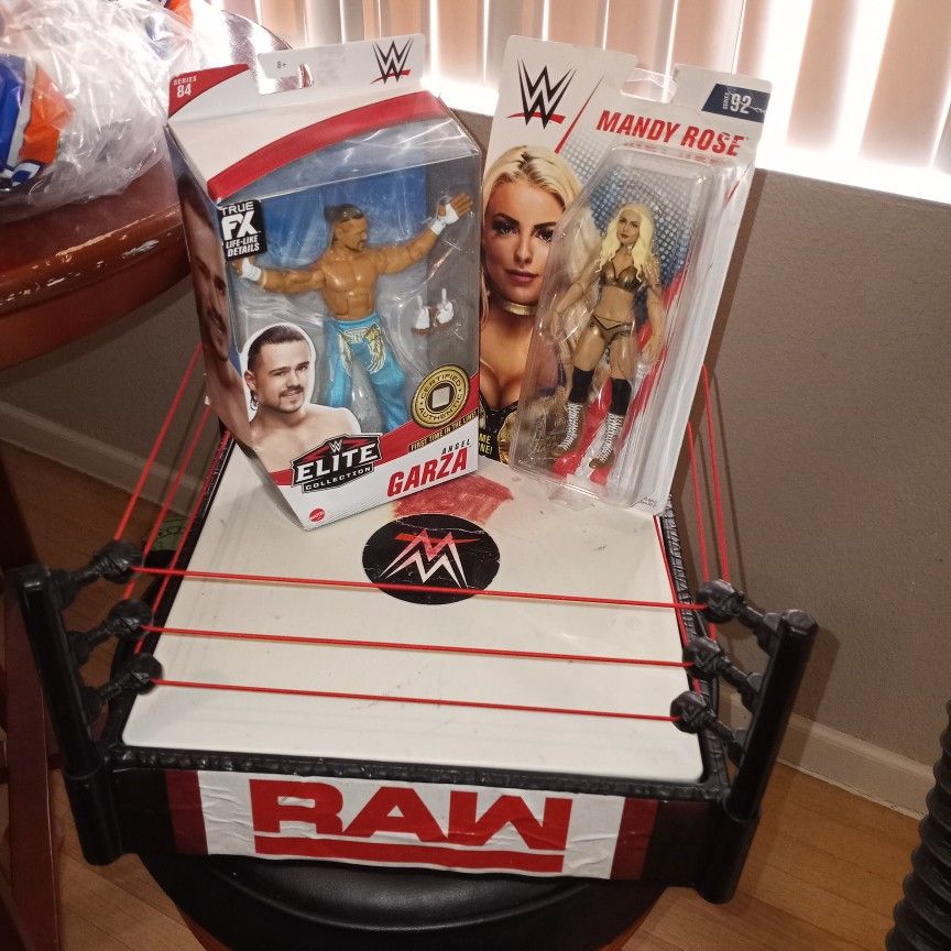 $35.00 FOR BOTH ACTION FIGURES AND THE RAW WW RING !!!