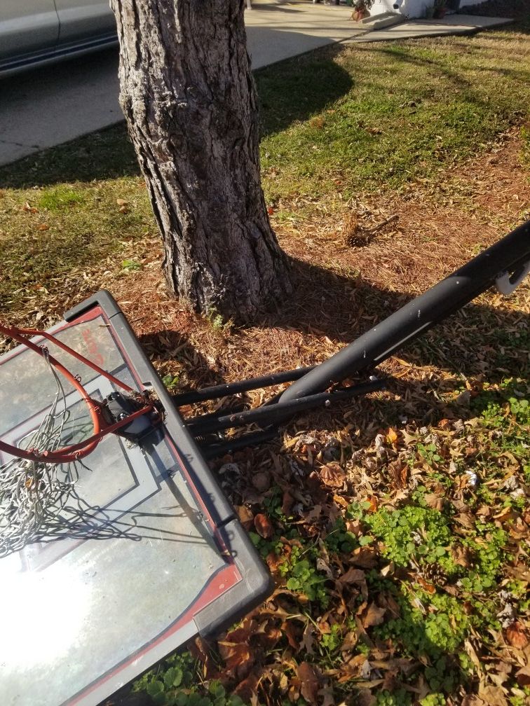 Lifetime elite adjustable basketball hoop