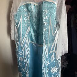 Disney Frozen Elsa Dress 3-4t