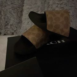 coach slides