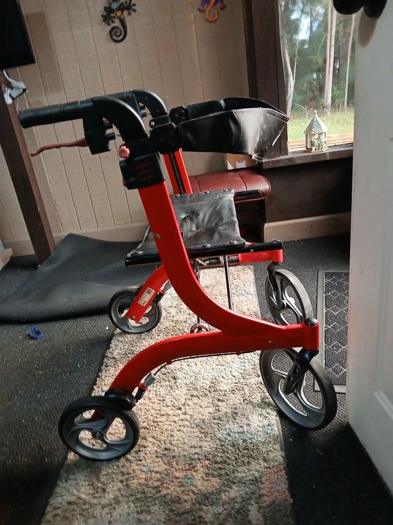 Adult Walker