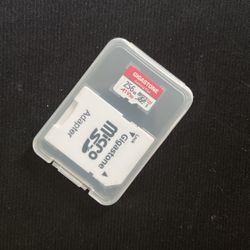256GB Gigastone SD Card Gaming Plus
