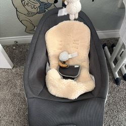 Baby Bouncer