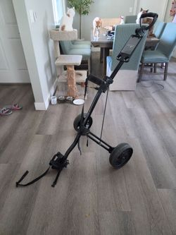 Bag Boy push cart