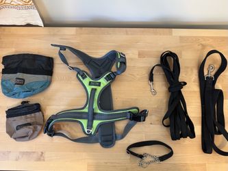 Dog Walking Bundle – Harness, Leashes, and Treat Bags