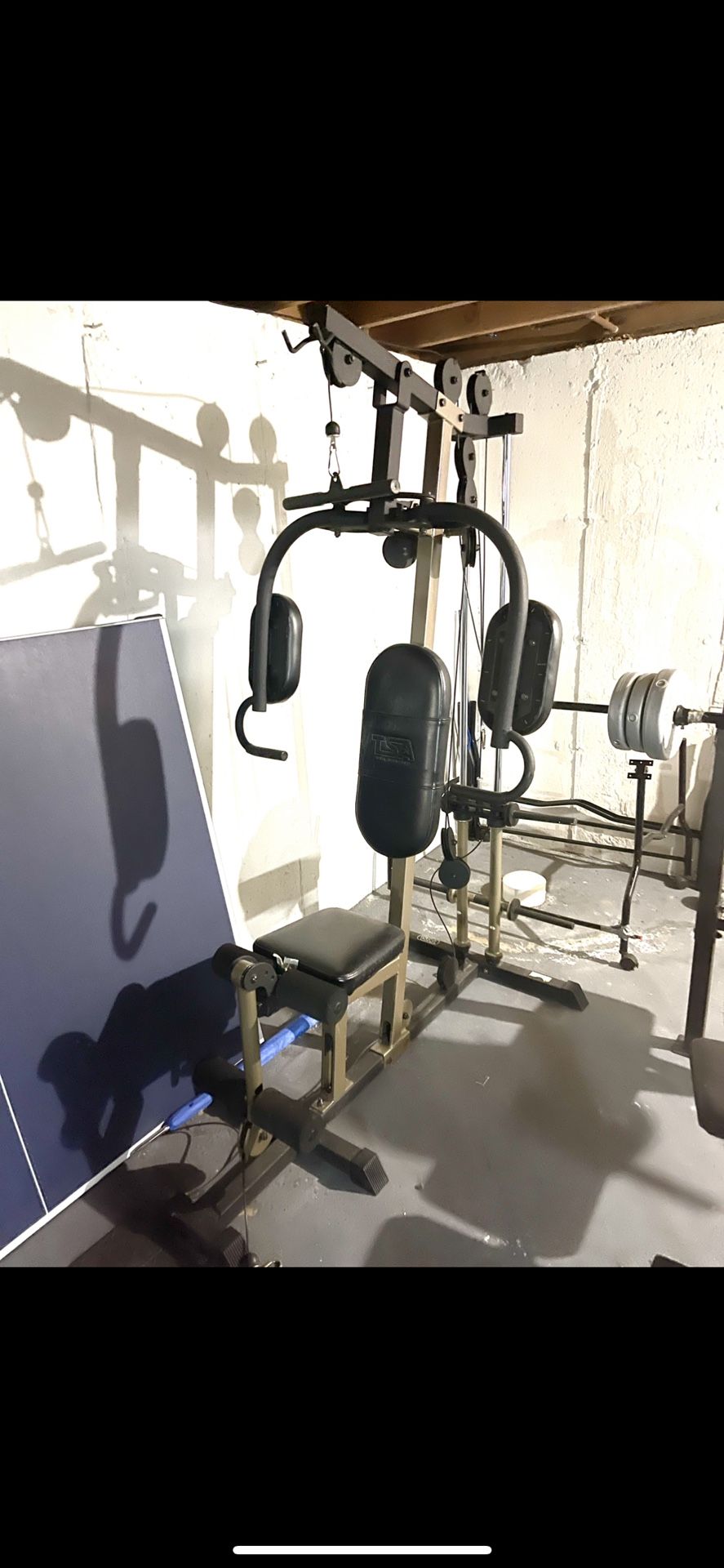 Gym Equipment 