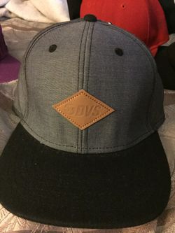 Dvs hat