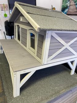 Dog House
