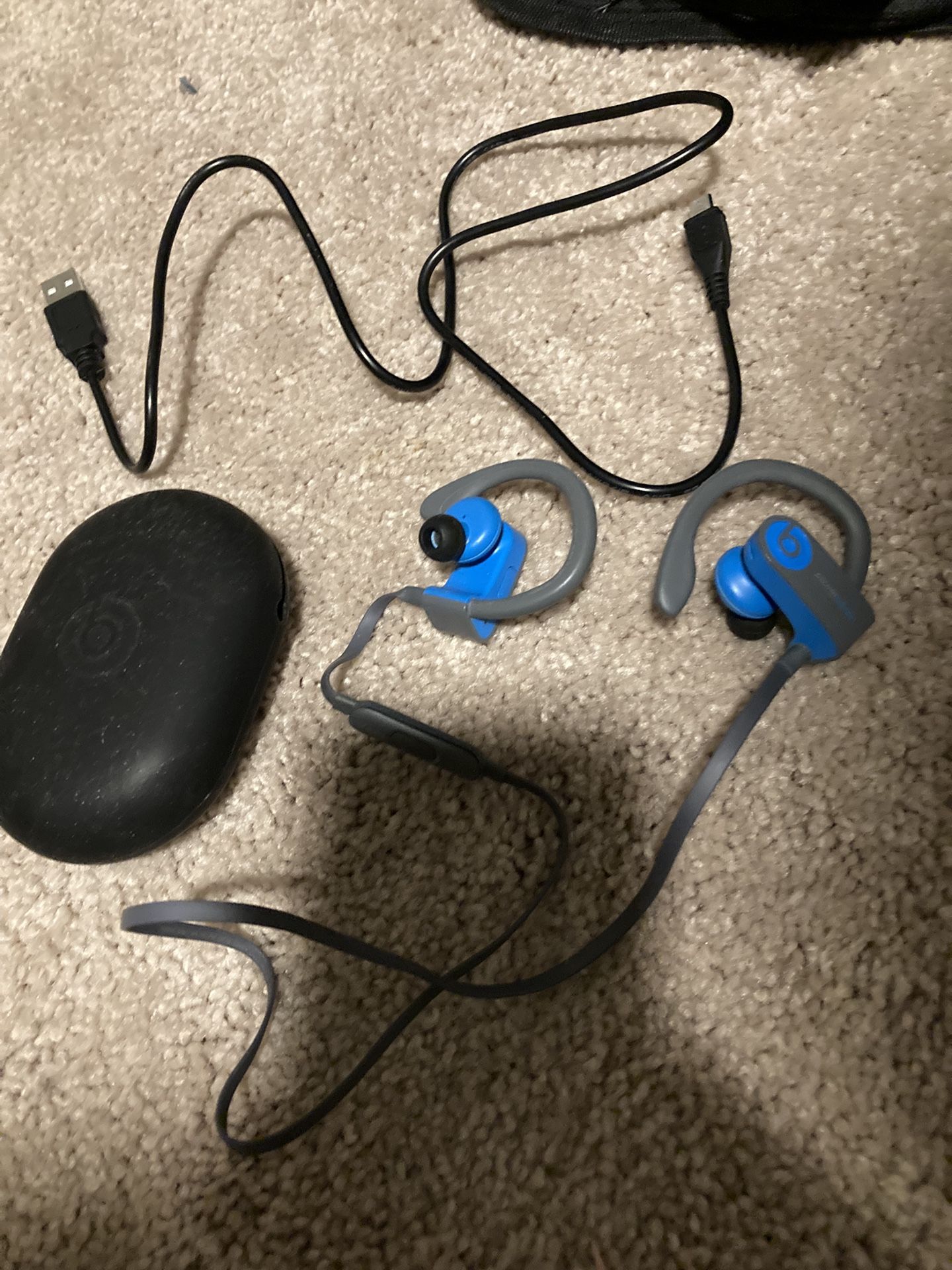 Beats Powerbeats Earbuds