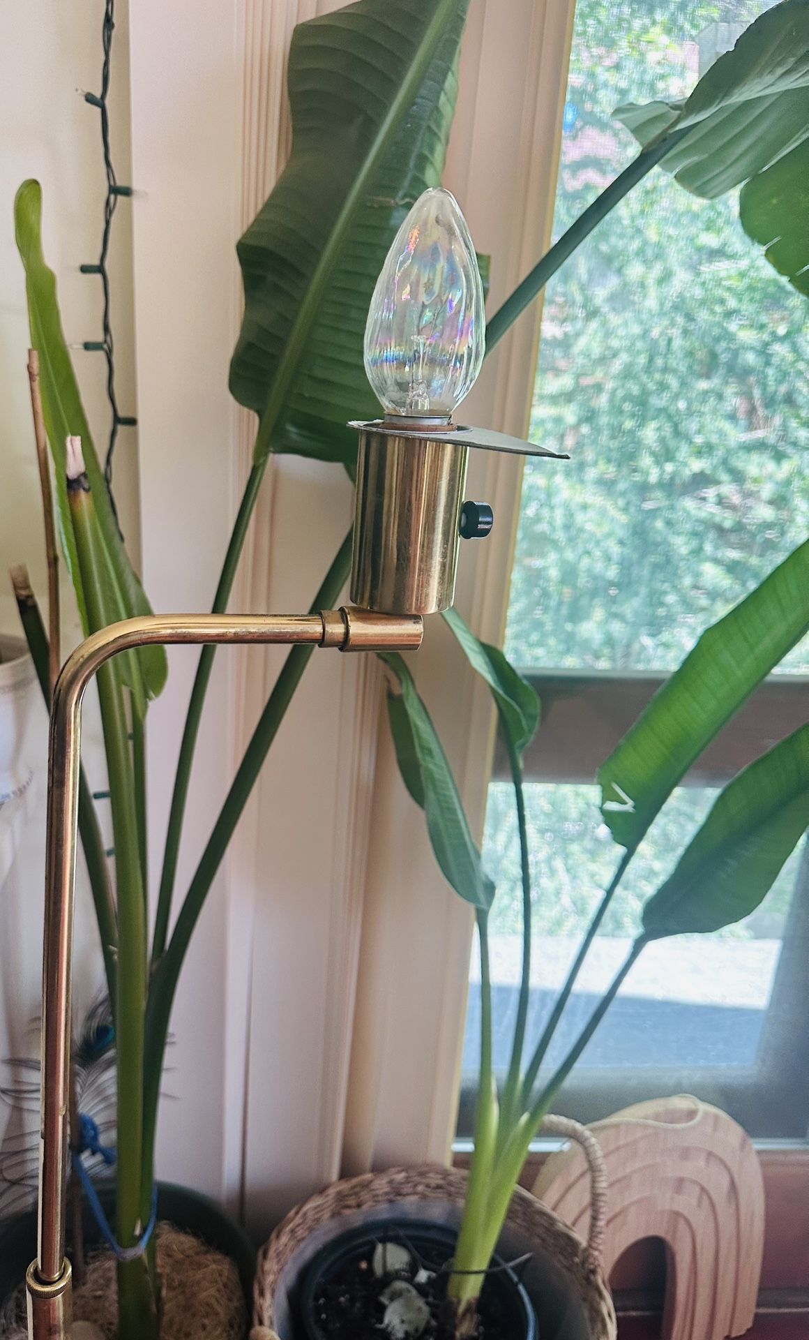 Golden Lamp