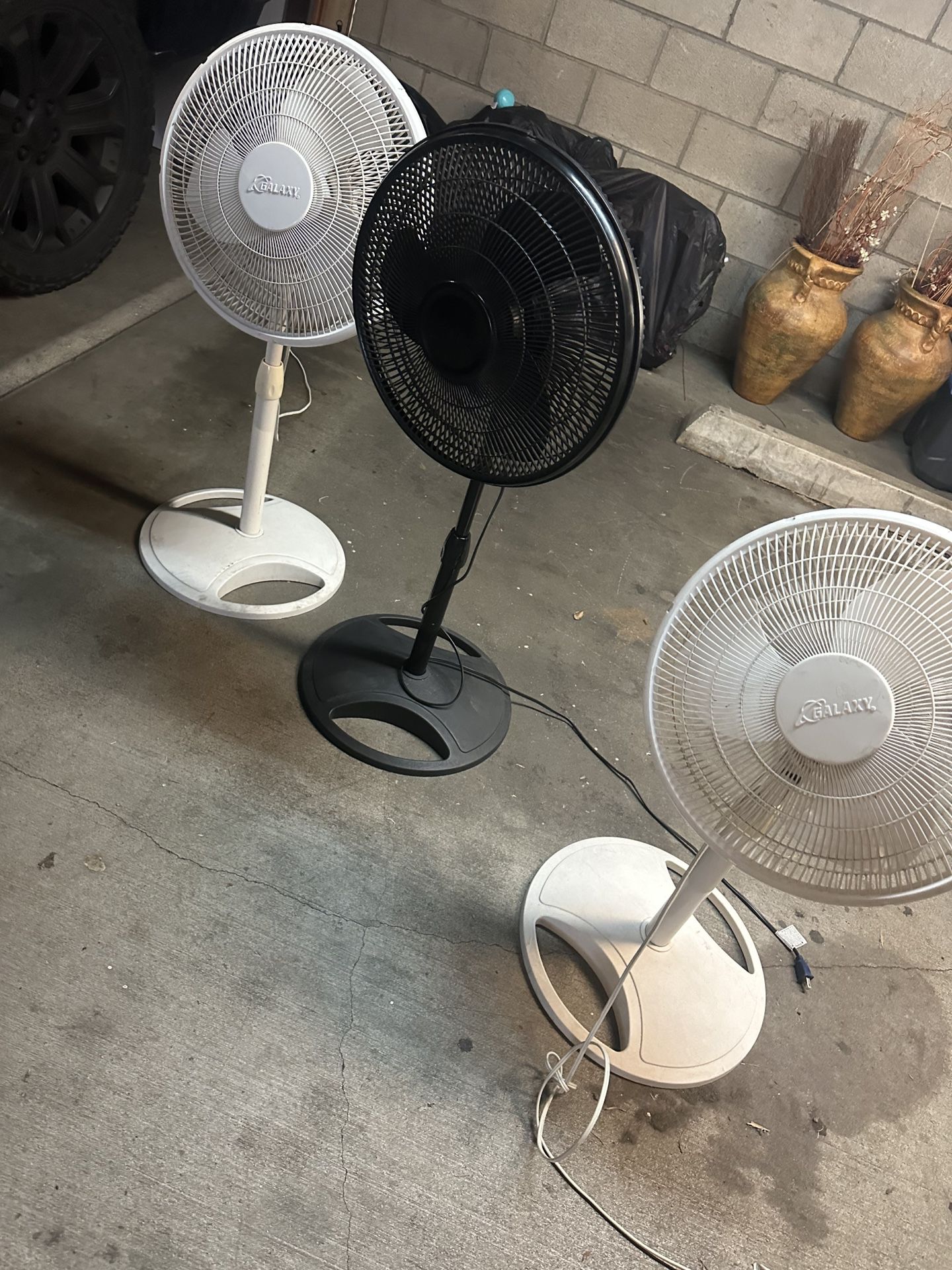 $20 each fan