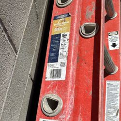 Werner Extension Ladder