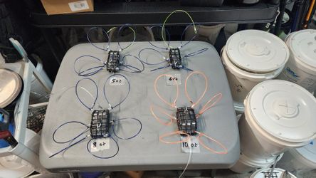 Crab Snare For Discount