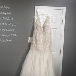 24size Wedding Dress & Veil