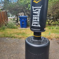 Everlast Punching/ Kicking Bag