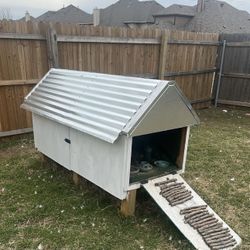 Chicken Coop
