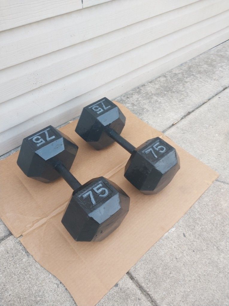 Hex Dumbbells 75lbs