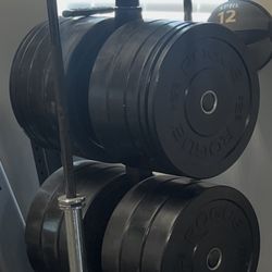 Rogue weights with stand, barbell and curl bar