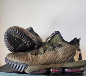 LeBron Nike 16 Shoes Size 10