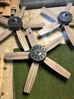 Hunter Ceiling Fans