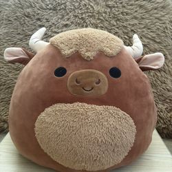 Marshal the Bull $11