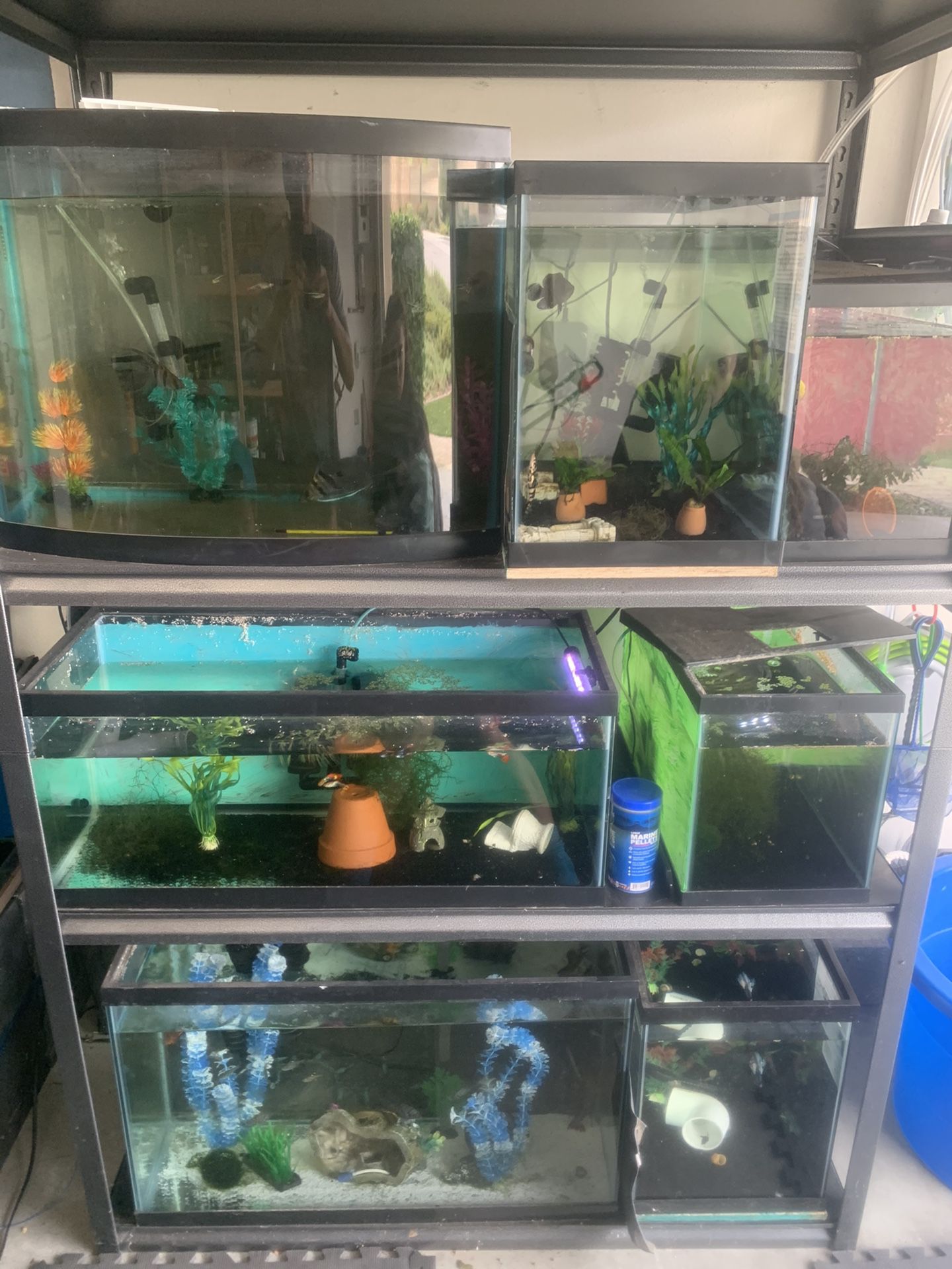 Aquariums,filters , pumps, etc