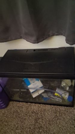 Fish tank