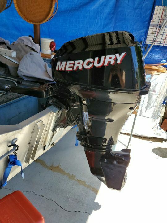 2007 mercury 15hp