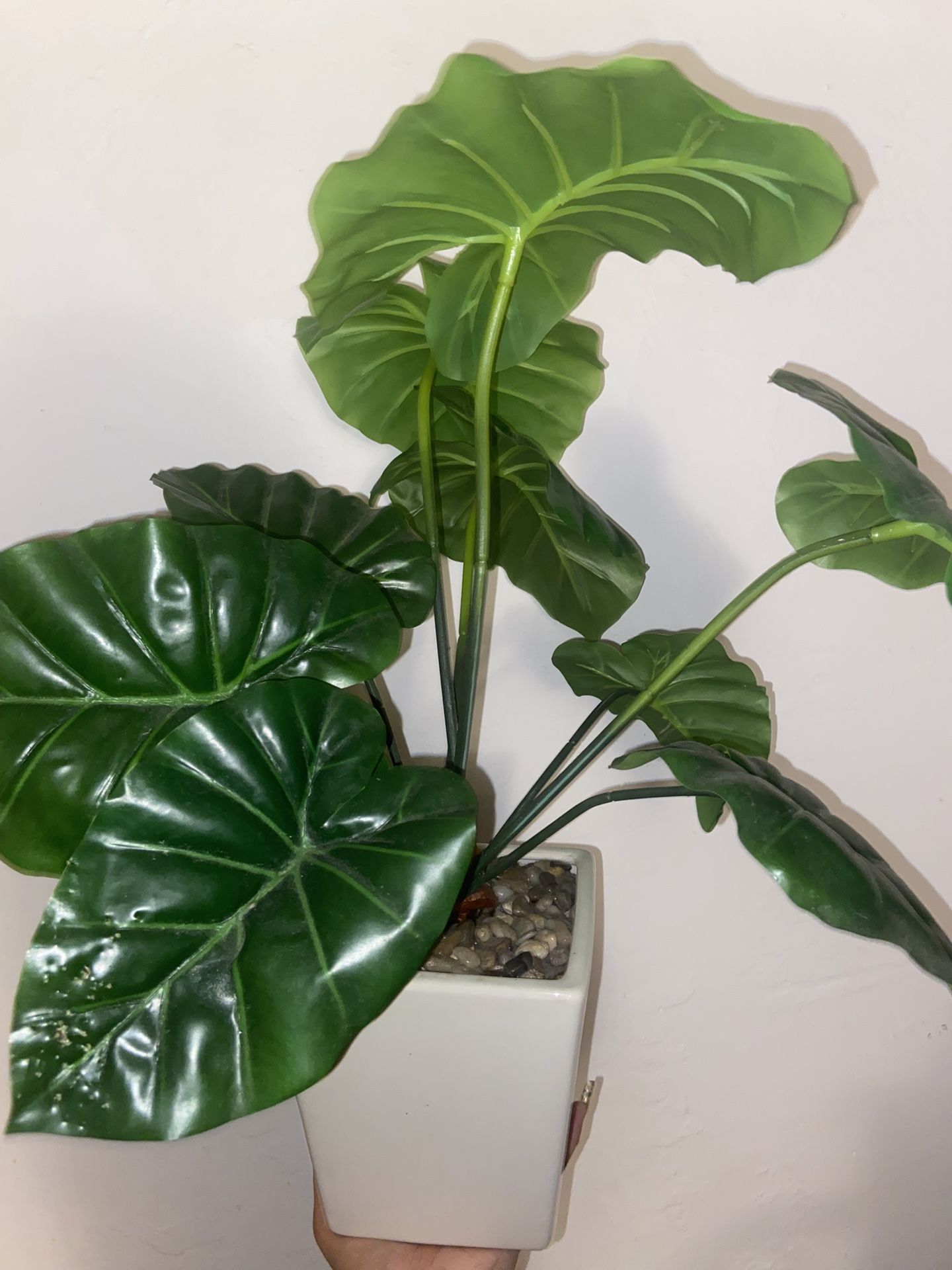 Faux House Plant