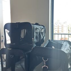 Dog Carriers ($20 Each)