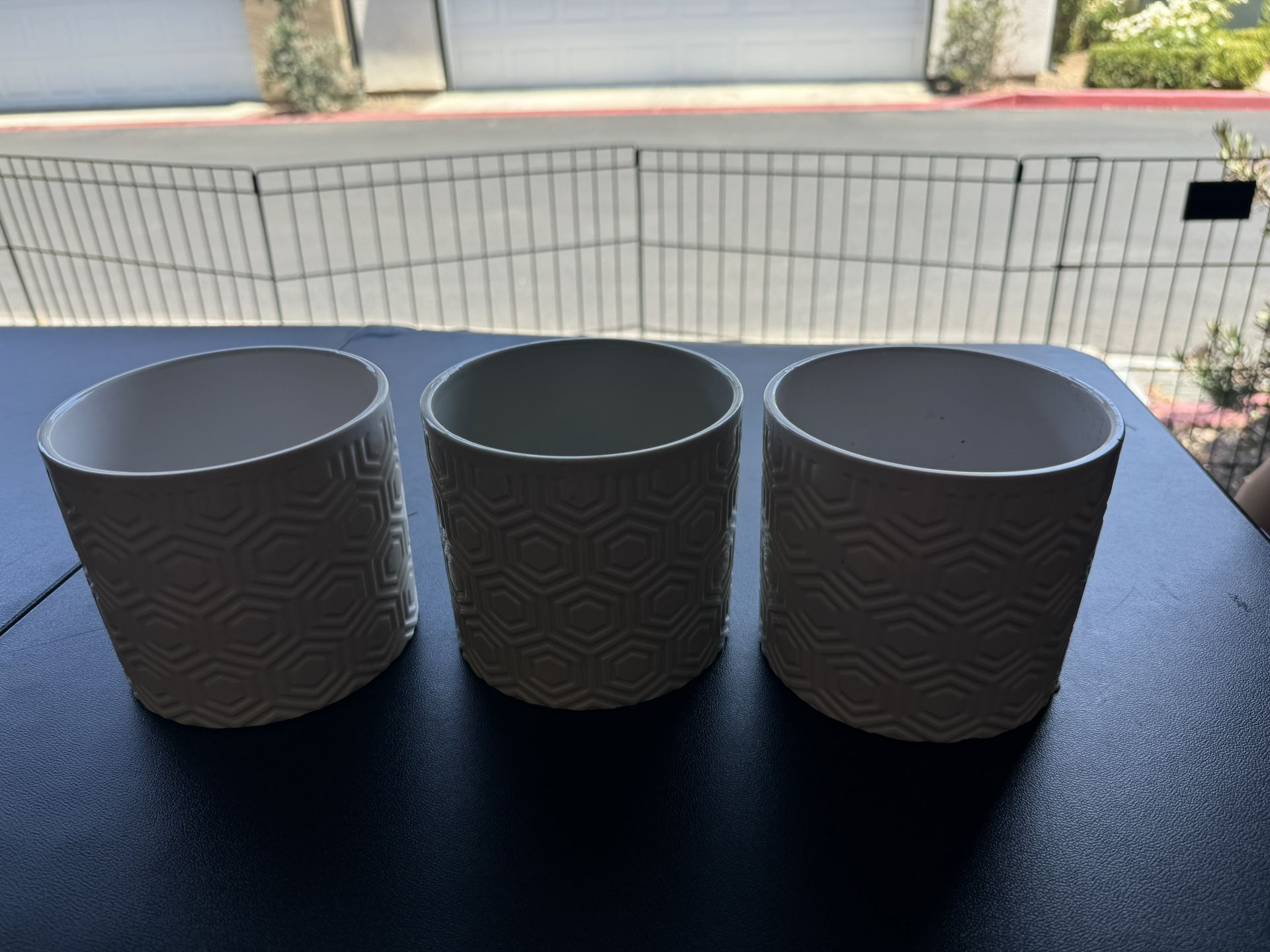 Plant Holders