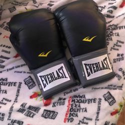 Everlast Boxing Gloves