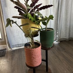 Plant Stand