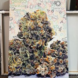 1 of 1 Cannabis Art