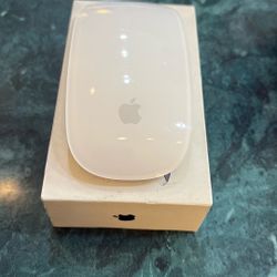 Apple Mouse