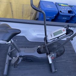 Schwinn AD6 Airdyne Exercise Bike