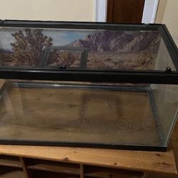 Reptile Tank